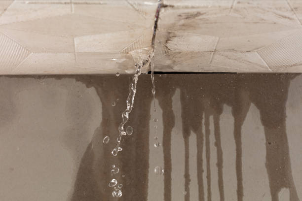 Professional Flood Damage Cleanup technician working in Greenville, IN